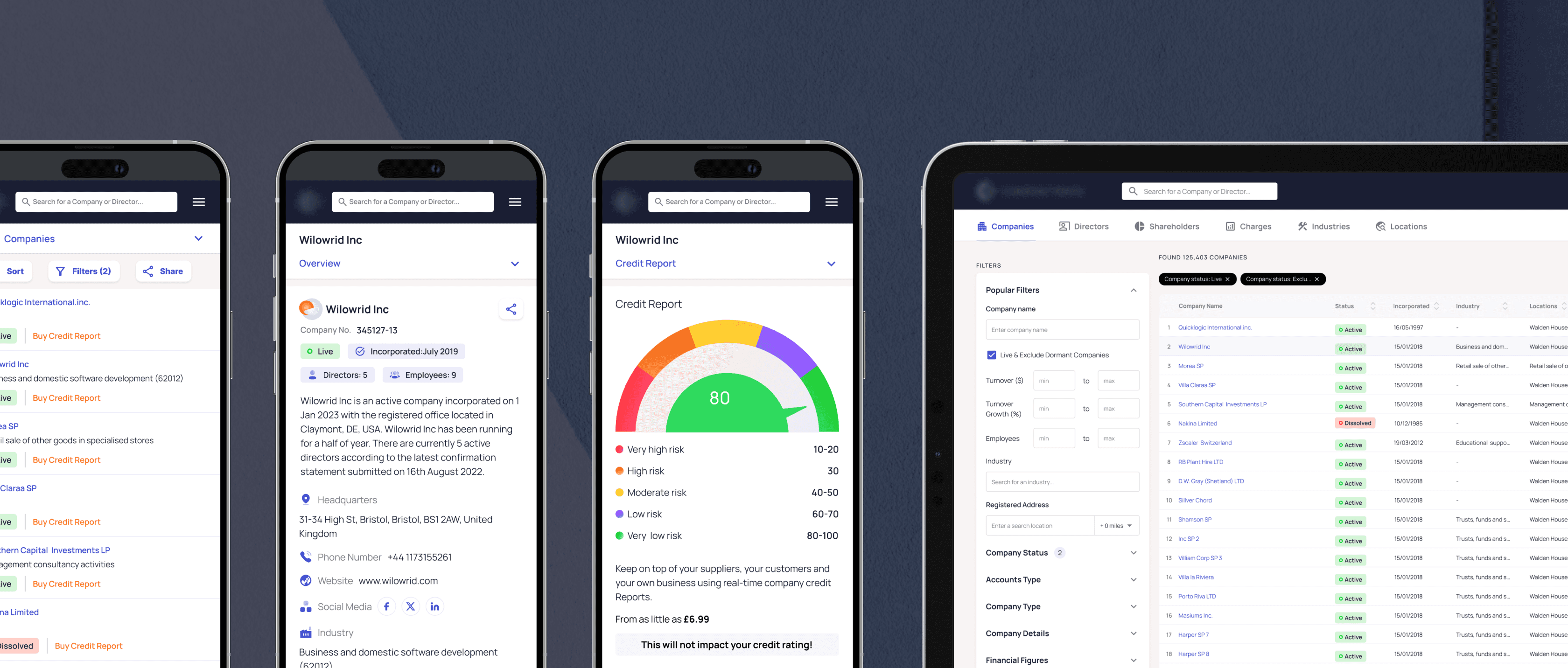 Open Company Search mobile and filter interface mockups