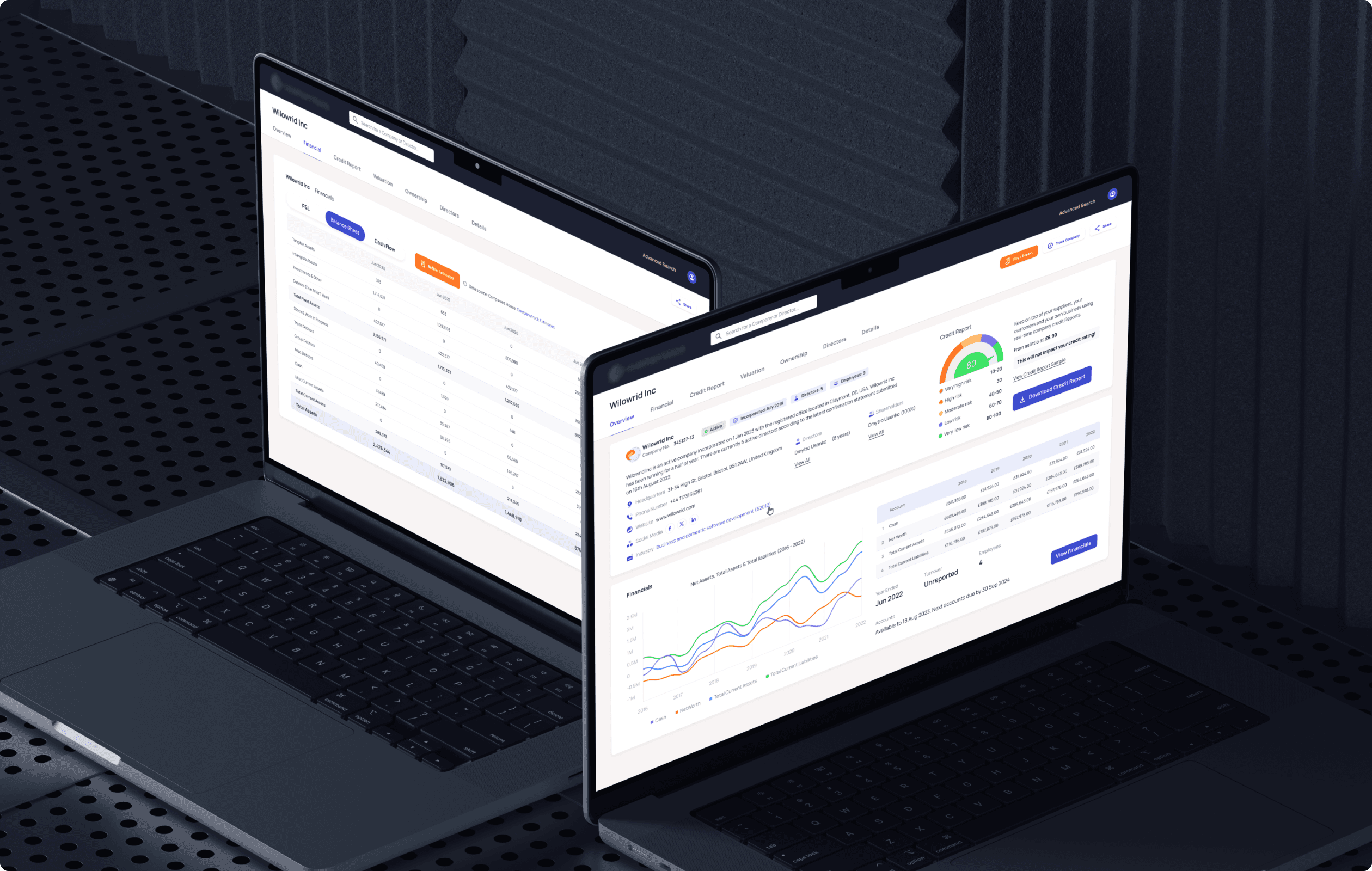 Open Company Search company profile and navigation interface