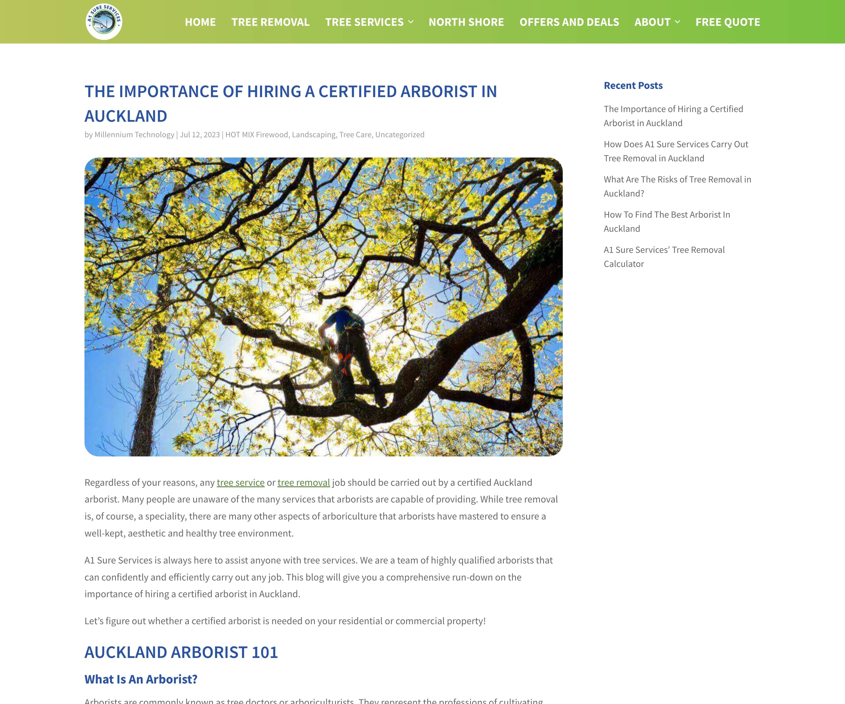 A blog post on Webflow — The importance of hiring a certified arborist in Auckland, with the featured photo, body text with links to service pages and the Recent Posts sidebar