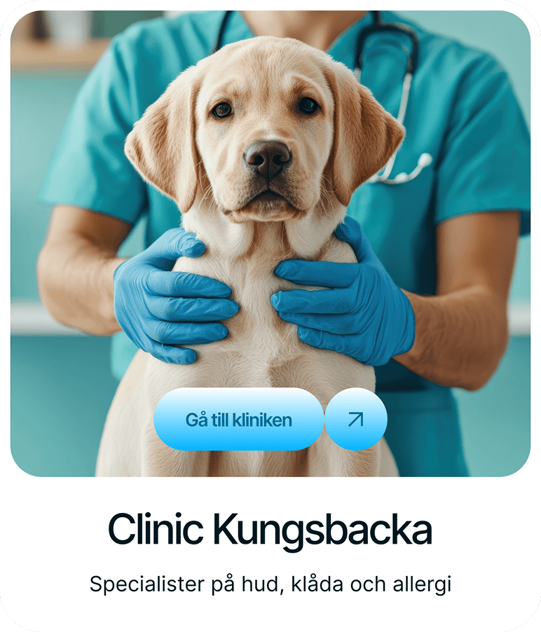 VetaDerm Clinic Kungsbacka card from the redesigned website