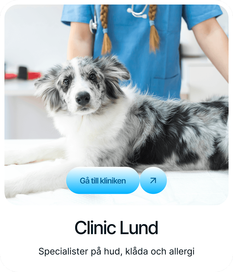 VetaDerm Clinic Lund card from the redesigned website