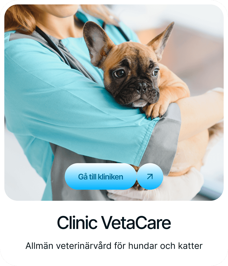 VetaCare clinic card from the redesigned VetaDerm website