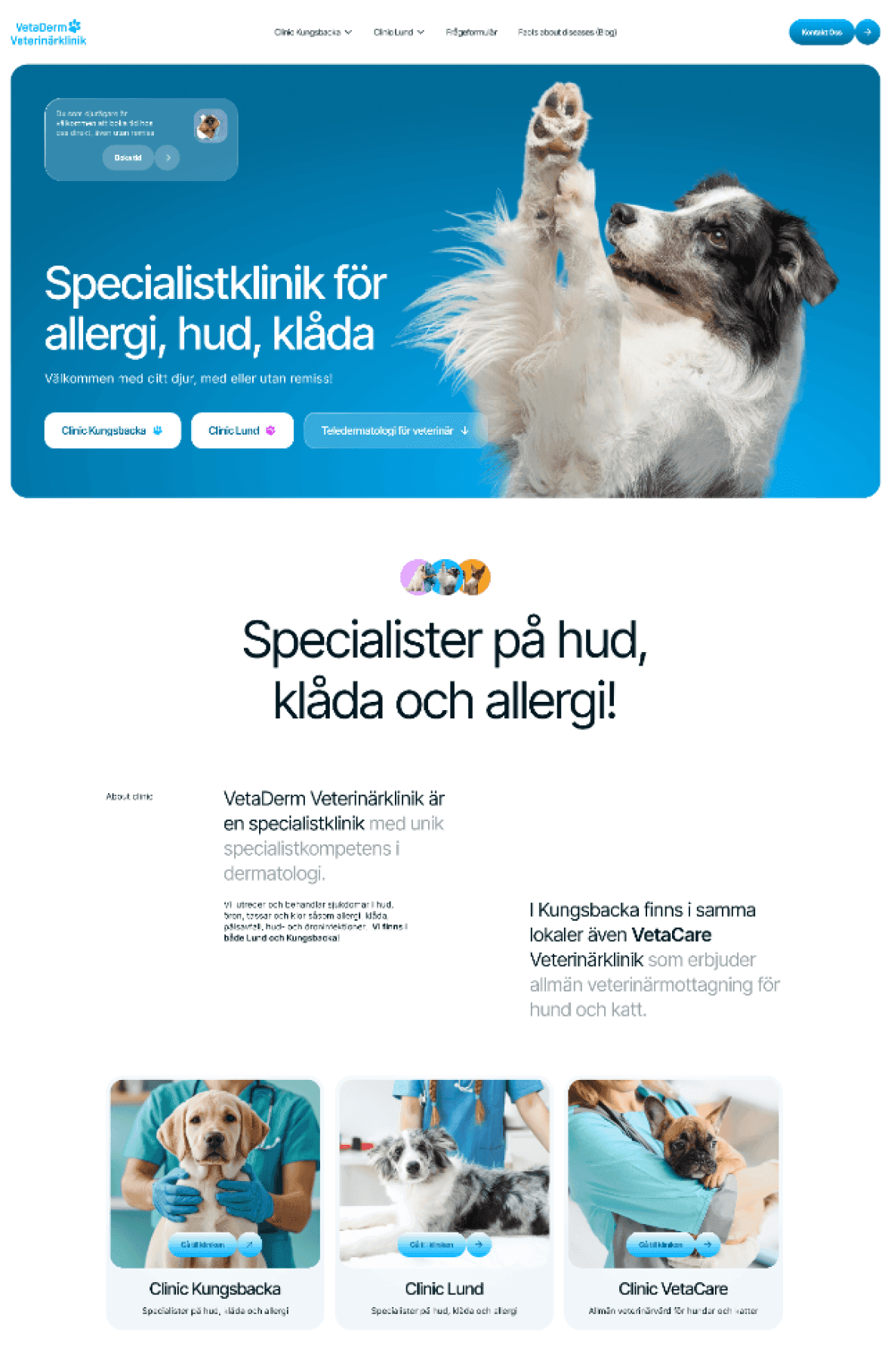 Full redesigned VetaDerm homepage
