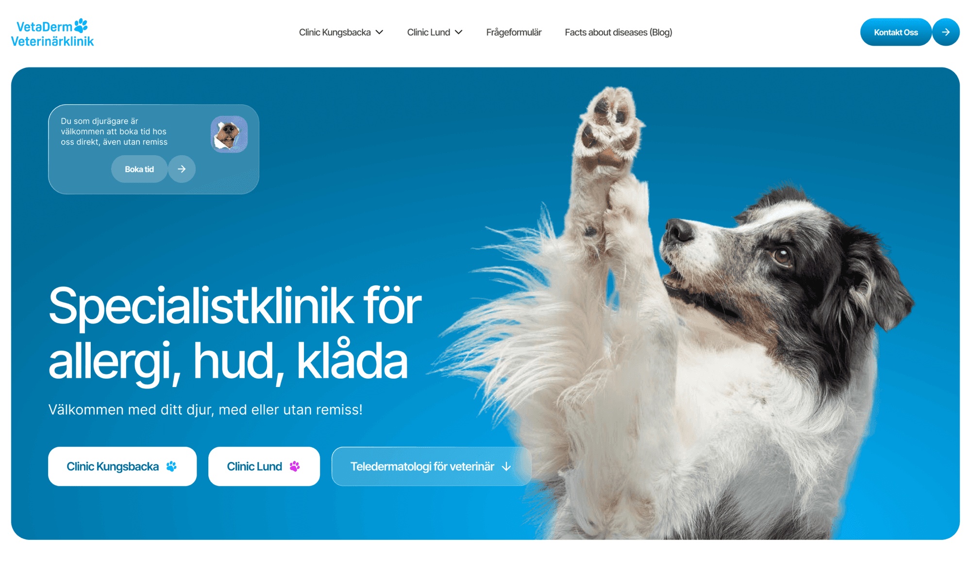 Redesigned VetaDerm website built in Webflow