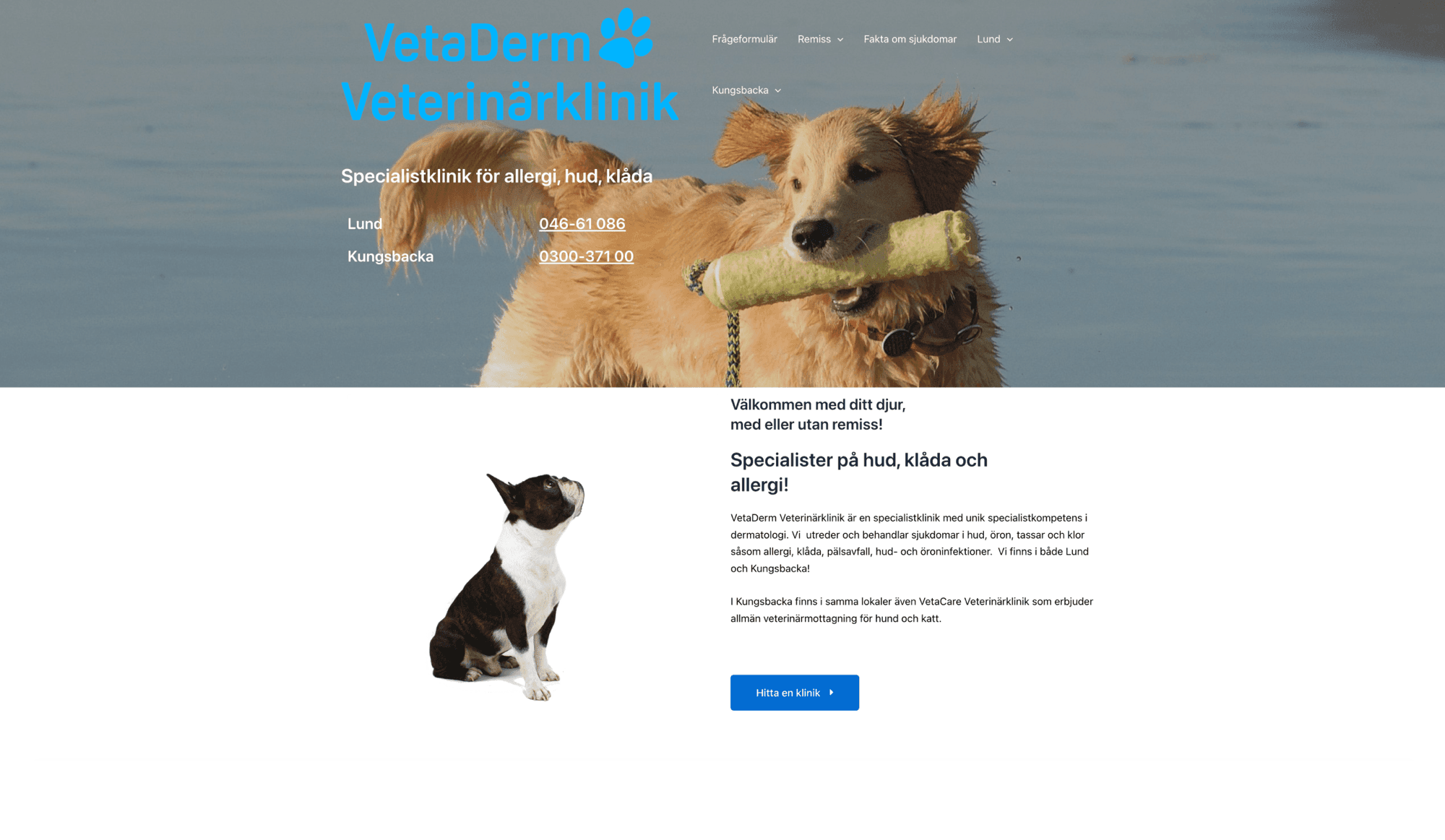 Original VetaDerm website before the redesign
