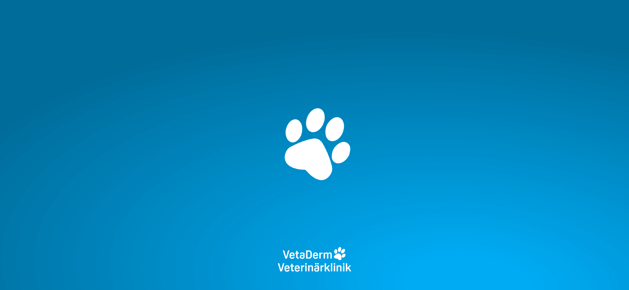 VetaDerm branded GSAP intro animation with the paw logo