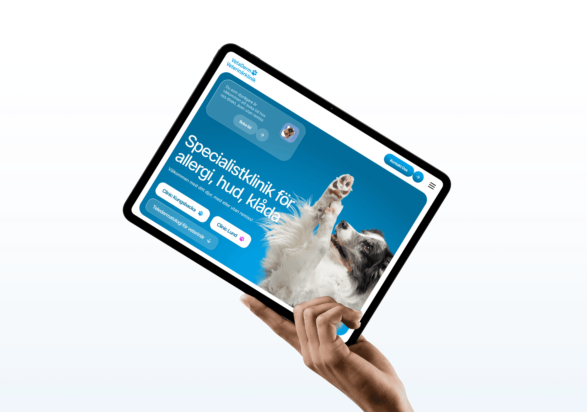 VetaDerm veterinary clinic website redesign shown on a tablet