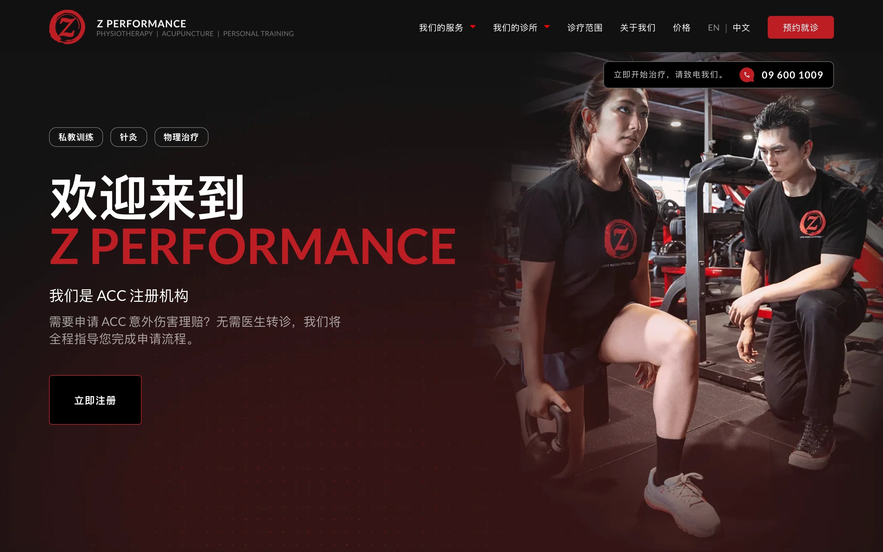 The same Z Performance homepage in Chinese at 1440px, with the Chinese language active in the switch