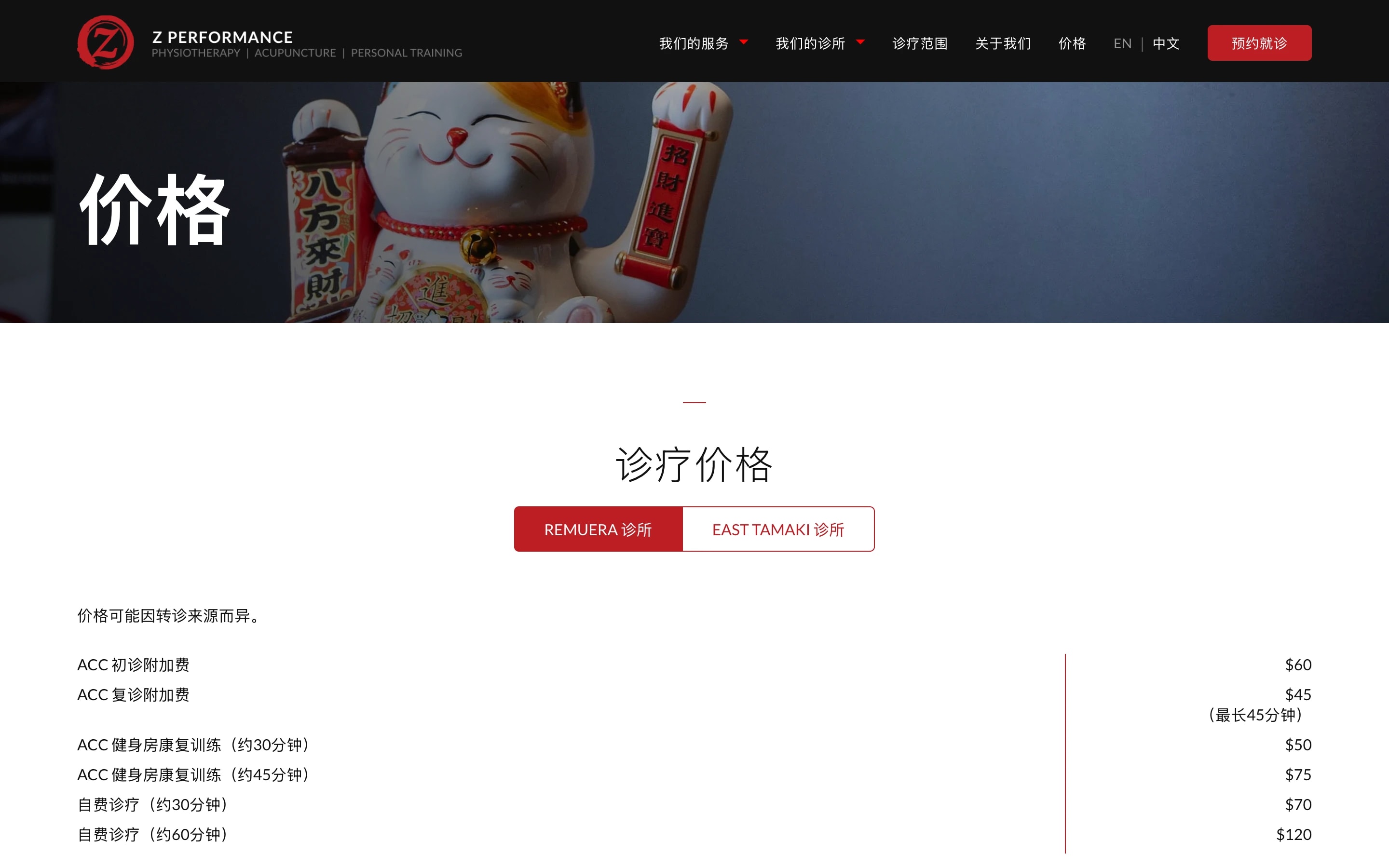 The Chinese pricing page of the Z Performance site at /zh/pricing